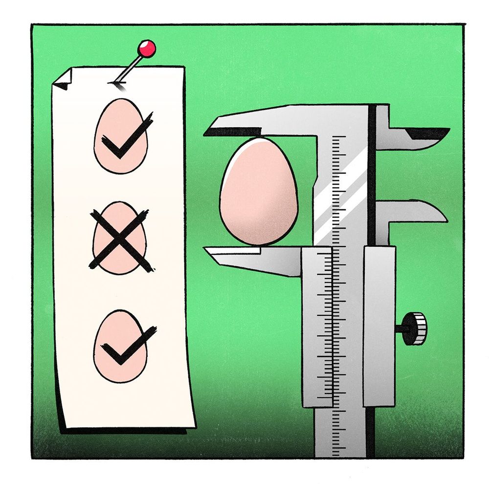Die Größe eines Eis wird vermessen.