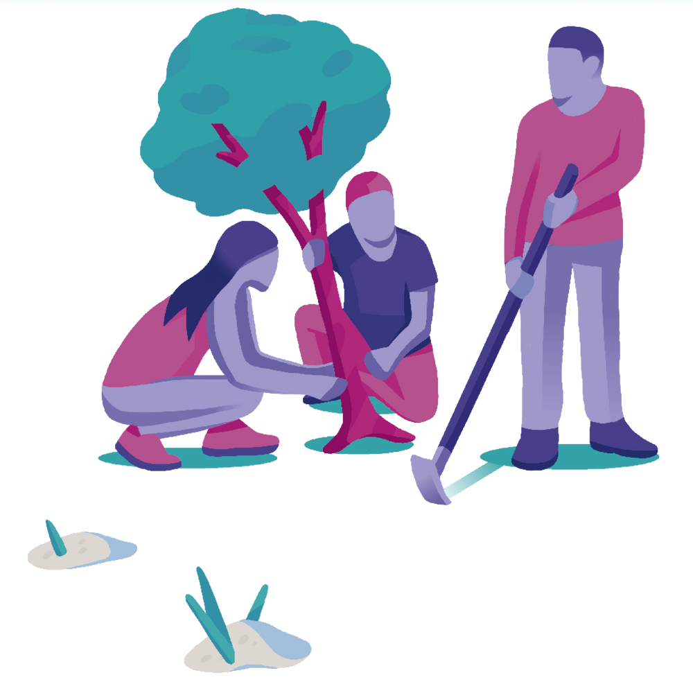 Drei Personen, die gemeinsam einen Baum einpflanzen