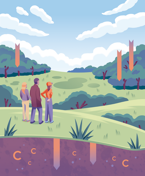 Drei Personen stehen in einer grünen Landschaft und schauen sich die Wege des Kohlenstoffs an